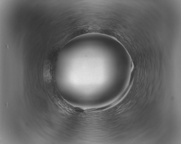 X0000073761250200608031525