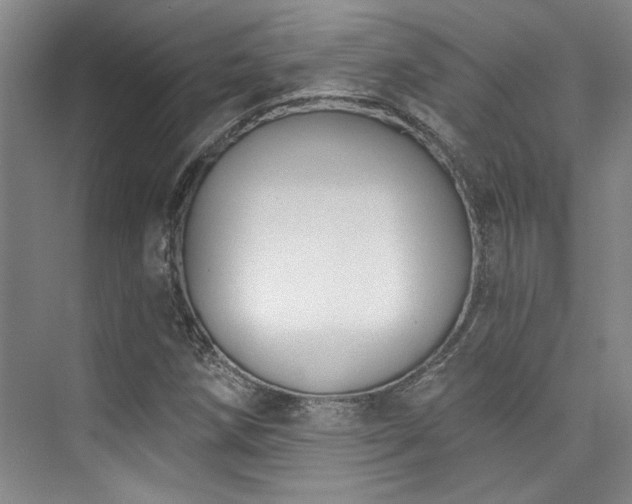X0000073761258200608031525