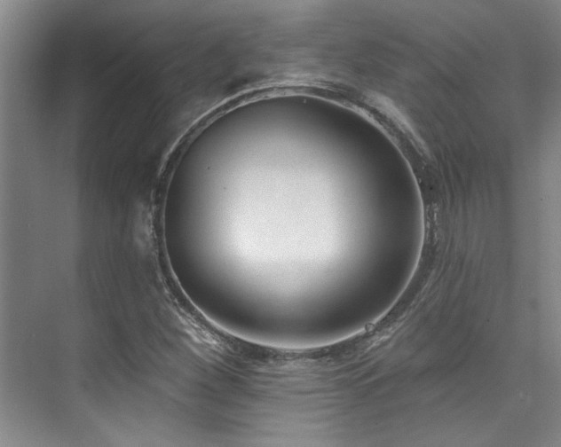 X0000073761260200608031525