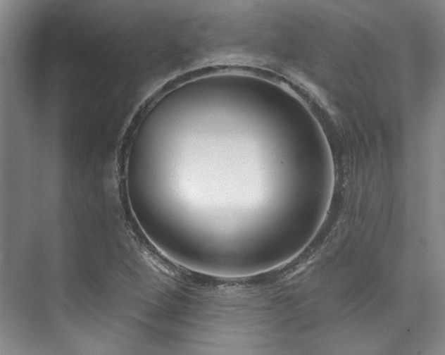 X0000073761264200608031525