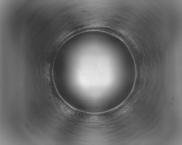 X0000073761265200608031525
