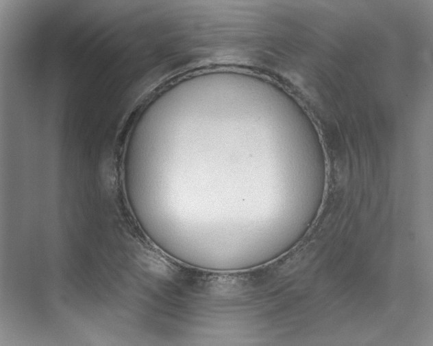 X0000073761266200608031525