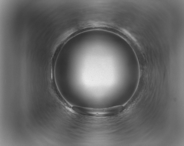 X0000073761269200608031525