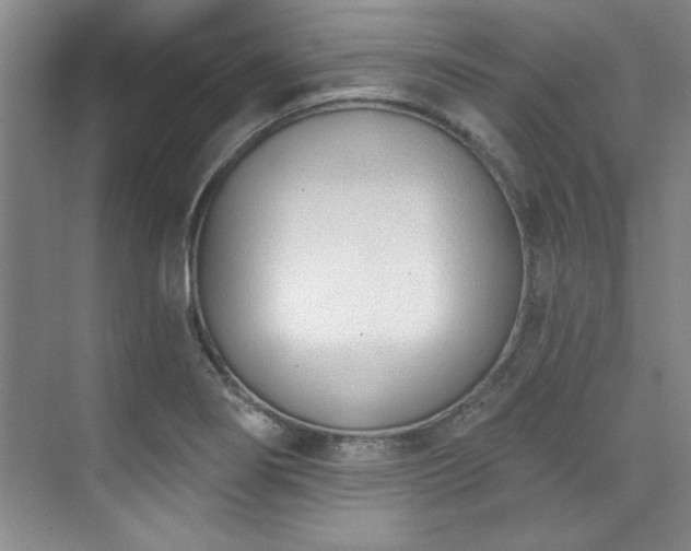 X0000073761274200608031525