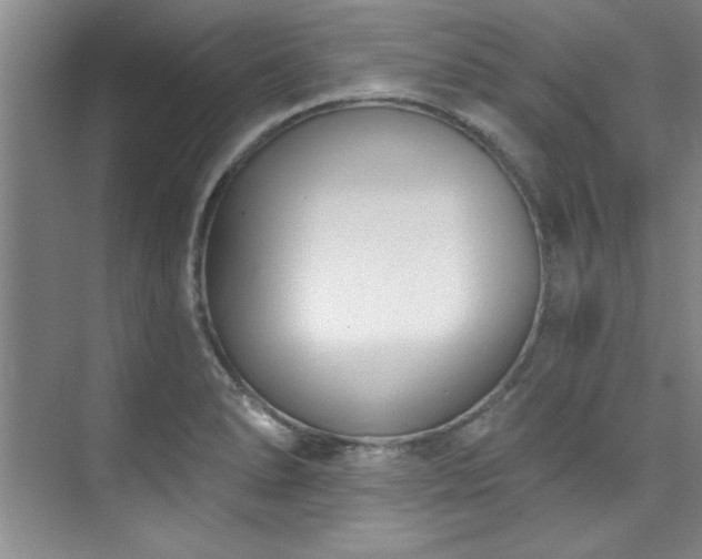 X0000073761278200608031524