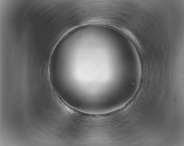 X0000073761288200608031524