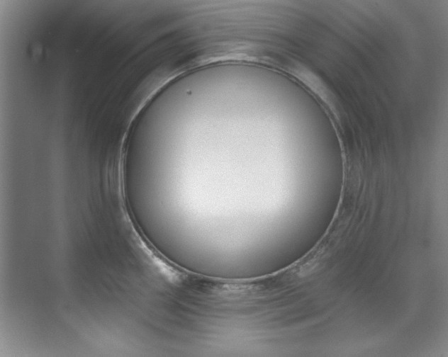 X0000073761290200608031524