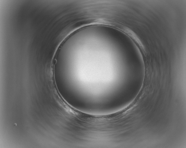 X0000073761292200608031524