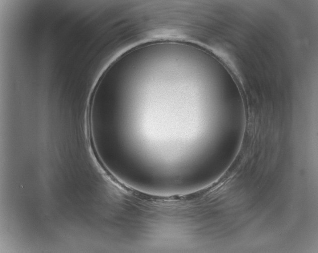 X0000073761295200608031524