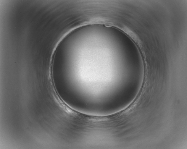X0000073761296200608031524