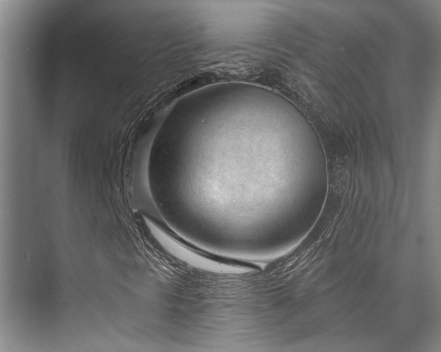 X0000073761297200608031523