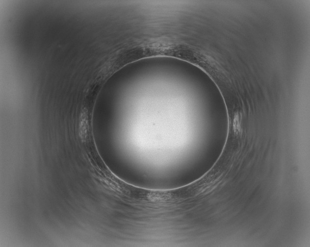 X0000073761299200608031523