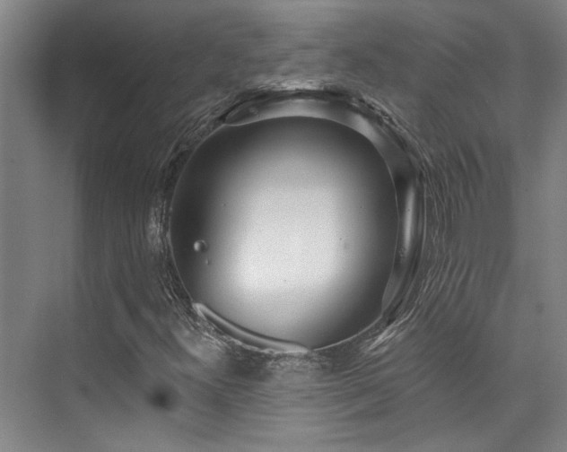 X0000073761300200608031523