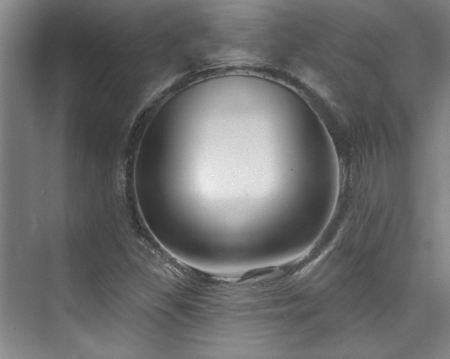 X0000073761309200608031524