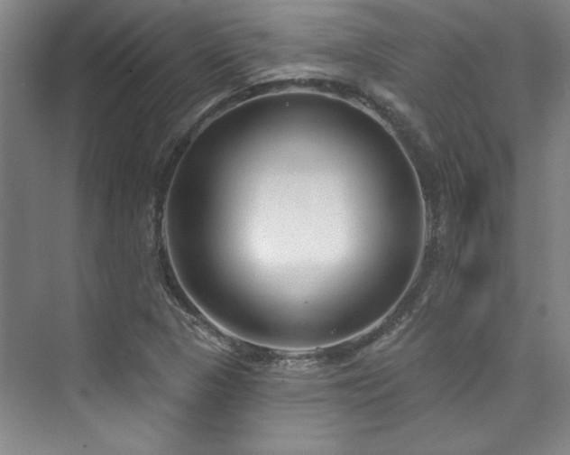 X0000073761313200608031524