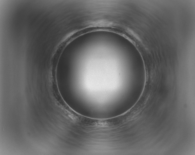 X0000073761315200608031524