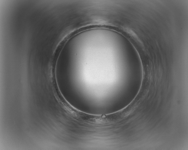 X0000073761318200608031524
