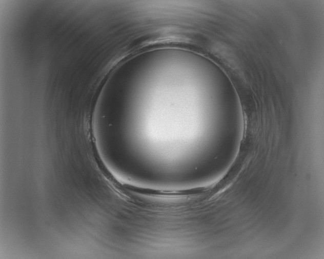 X0000073761321200608031524