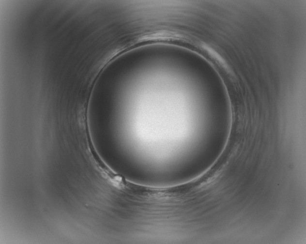 X0000073761329200608031524