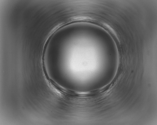 X0000073761330200608031524
