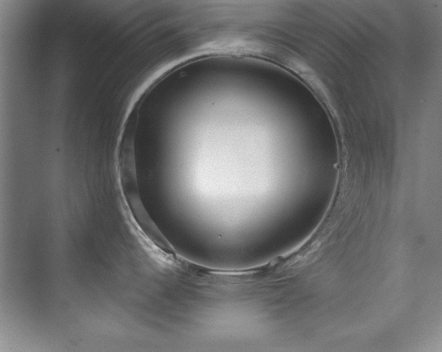 X0000073761344200608031524