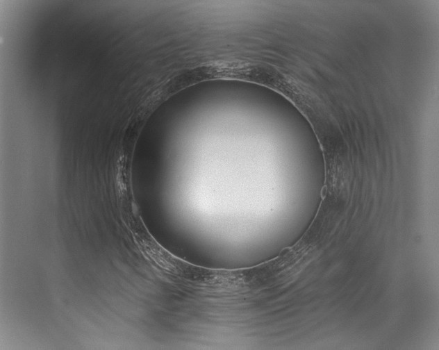 X0000073761346200608031523