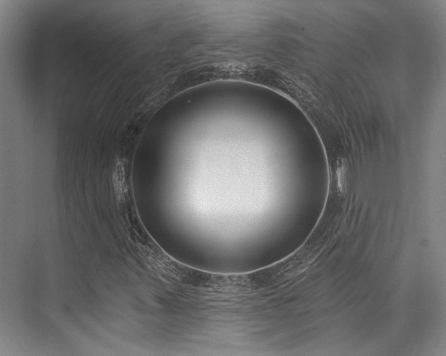 X0000073761347200608031523