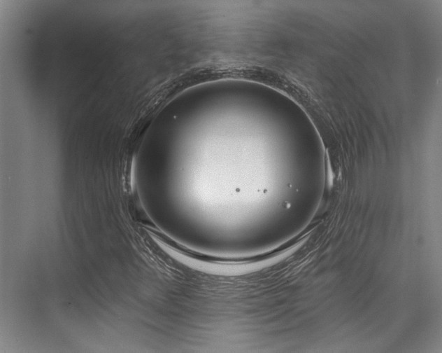 X0000073761348200608031523