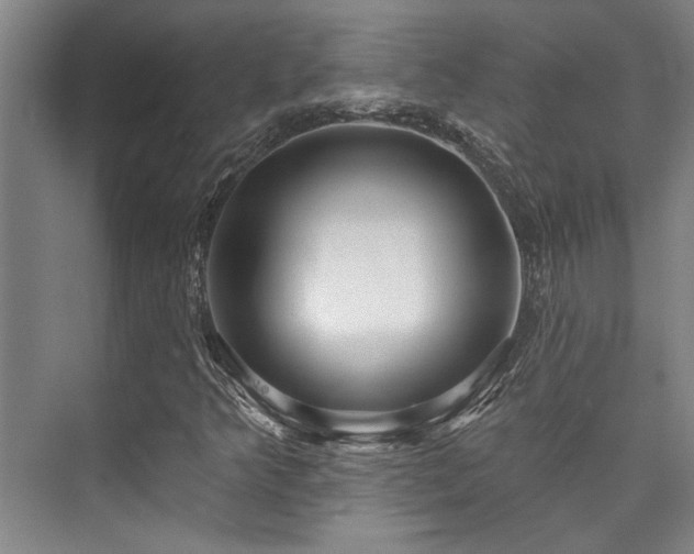 X0000073761349200608031523