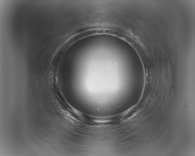 X0000073761352200608031523
