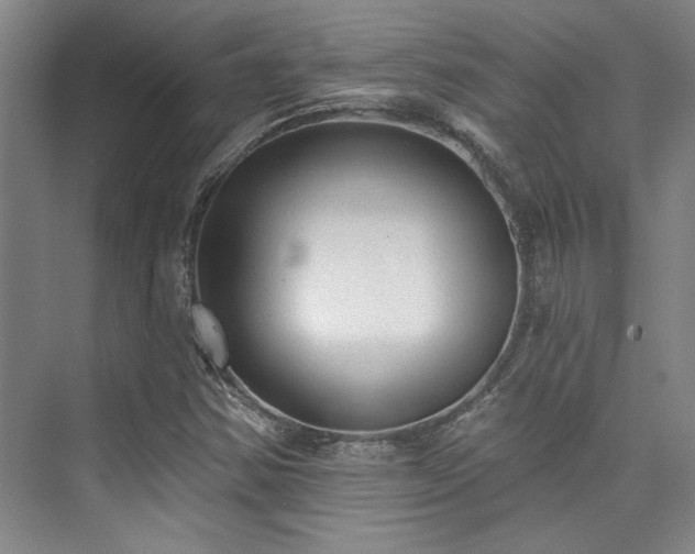 X0000073761354200608031523