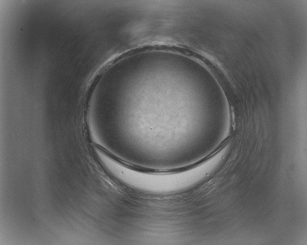 X0000073761359200608031523