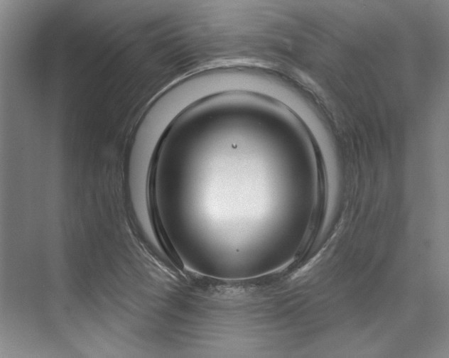 X0000073761361200608031523
