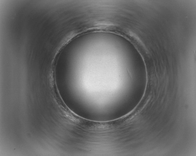 X0000073761362200608031523