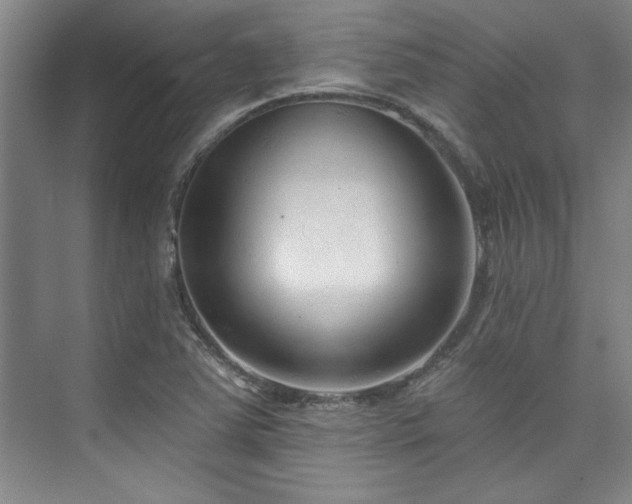 X0000073761363200608031523