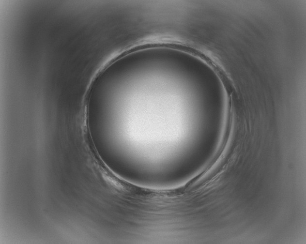 X0000073761366200608031523