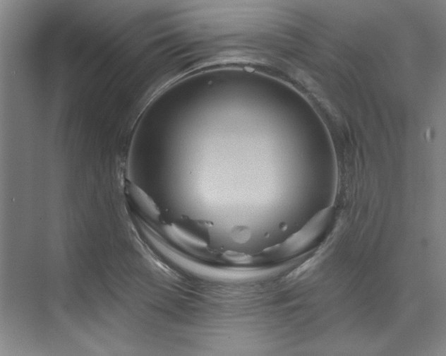 X0000073761369200608031523