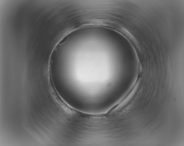 X0000073761378200608031523