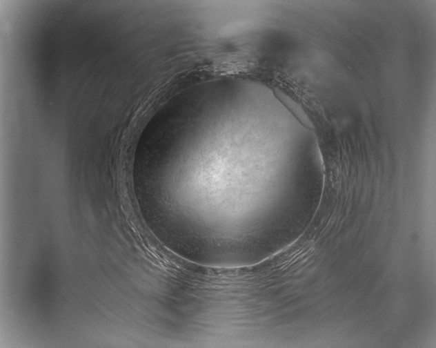 X0000073761393200608031522