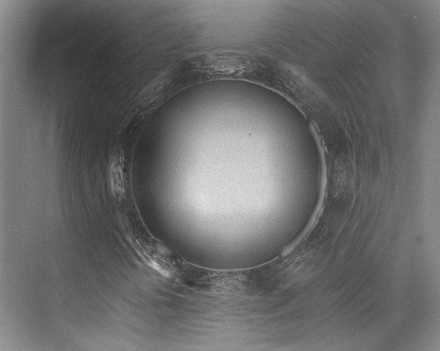 X0000073761394200608031522