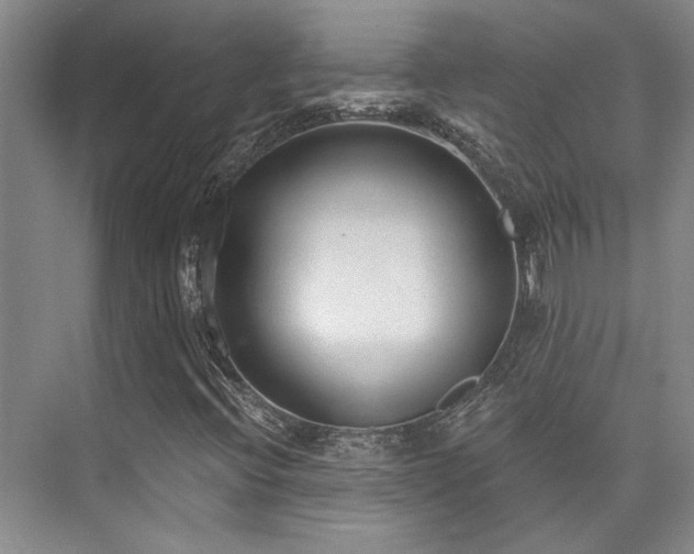 X0000073761396200608031522