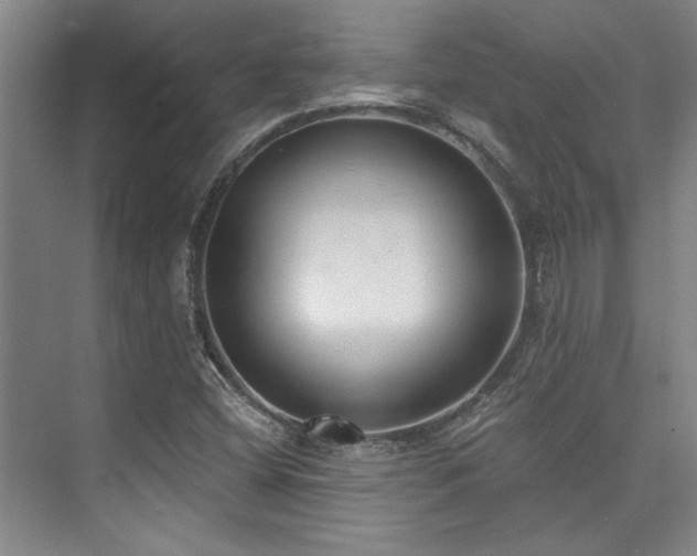 X0000073761404200608031522