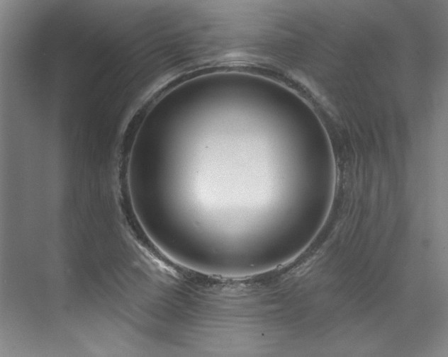 X0000073761410200608031522