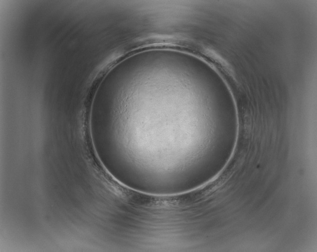 X0000073761411200608031522