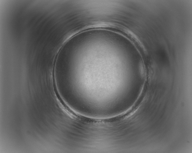 X0000073761417200608031522