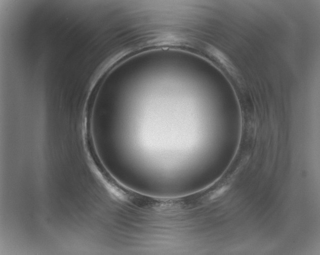 X0000073761418200608031522