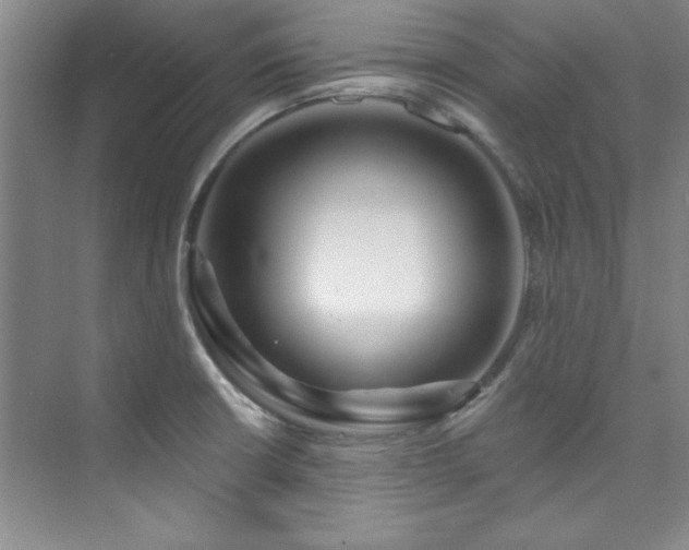 X0000073761426200608031522