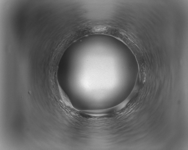 X0000073761441200608031522
