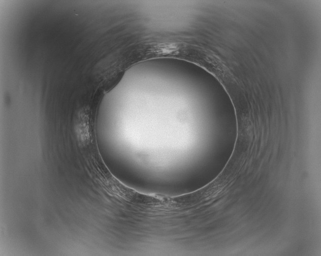X0000073761442200608031522