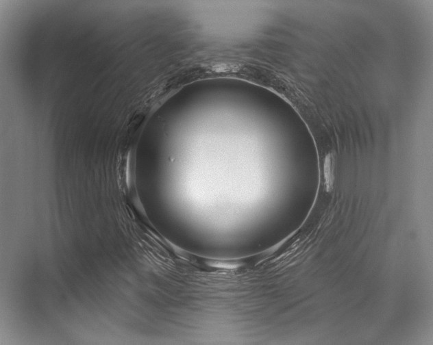 X0000073761443200608031522